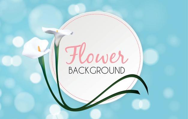 Abstract Floral Background with Calla Flower. Vector Illustration