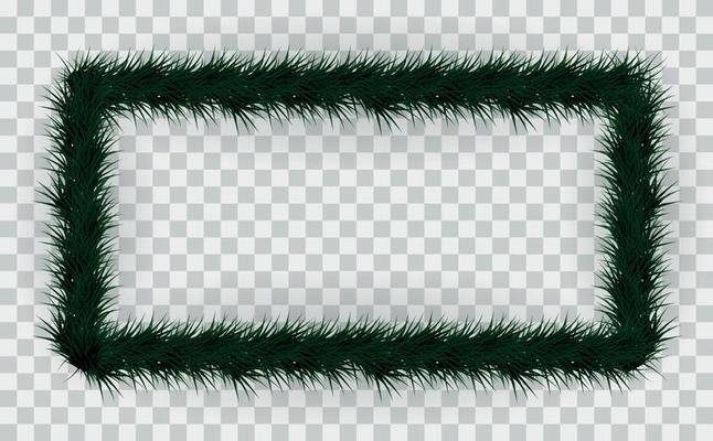 Frame of colorful coniferous branches on transparent background. Vector Illustration.