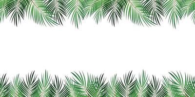 Frame from Palm Leaf with White Background. Vector Illustration.