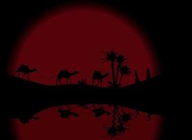 Reflection in water Silhouette of Caravan mit people and camels wandering through the deserts with palms at night and day. Vector Illustration.