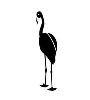 Black and White pink flamingo isolated on white background. Vector Illustration.