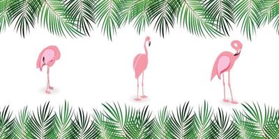 Frame from Palm Leaf with White Background. Vector Illustration.