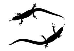 Sticker on car of reptile Silhouette of lizard. Vector Illustration.