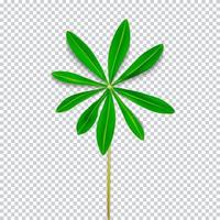 Naturalistic Colorful Lupine Leaf on Transparent Background. Vector Illustration