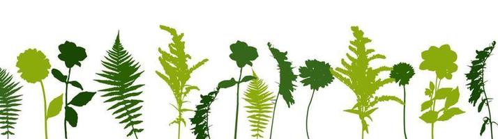 colorido helecho verde ramita y otras plantas de la naturaleza. ilustración vectorial vector