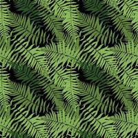 Fern Leaf Vector Fern Leaf Vector Seamless Pattern Background Illustration