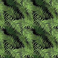 Fern Leaf Vector Fern Leaf Vector Seamless Pattern Background Illustration