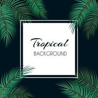 Palm Leaf Vector Background  with White Frame Illustration