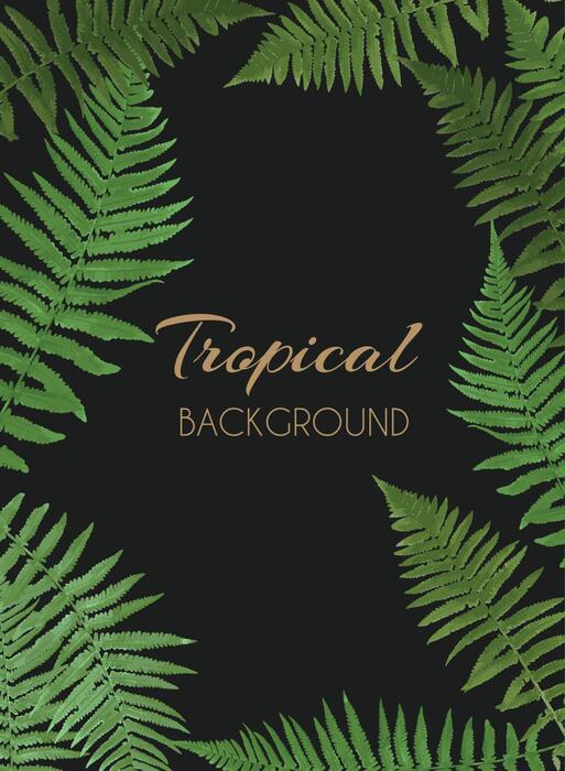 Fern Background Vector Art, Icons, and Graphics for Free Download