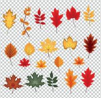 Abstract Vector Illustration with Falling Autumn Leaves on Transparent Background