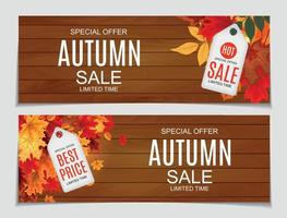 Abstract Vector Illustration Autumn Sale Background with Falling Autumn Leaves