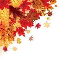 Fondo de ilustración de vector abstracto con caída de hojas de otoño.