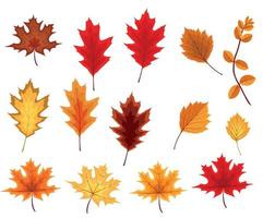 Ilustración de vector abstracto con caída de hojas de otoño