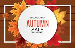 Abstract Vector Illustration Autumn Sale Background with Falling Autumn Leaves