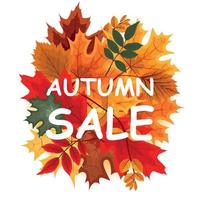 Abstract Vector Illustration Autumn Sale Background with Falling Autumn Leaves