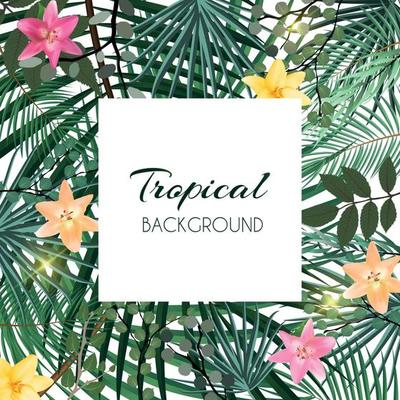 Abstract Natural Tropical Frame Background with Palm and other Leaves and Lily Flowers. Vector Illustration