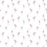 Colorful pink flamingo isolated on white background. Seamless pattern. Vector Illustration.