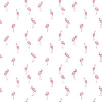 Colorful pink flamingo isolated on white background. Seamless pattern. Vector Illustration.