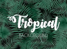 colorido fondo tropical naturalista de la hoja de palma libistones. ilustración vectorial vector