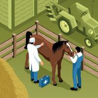 Farm Veterinary Isometric Composition