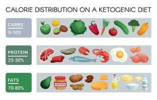 infografías de dieta cetogénica vector