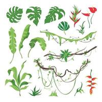 Jungle Plants Set vector