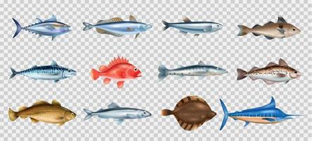 Sea Fish Transparent Set vector