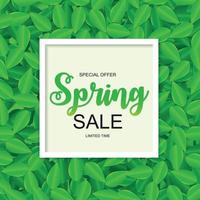 venta de primavera lindo fondo con hojas verdes. ilustración vectorial vector