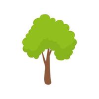 Vector green tree element. fertile forest for decoration