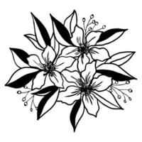 Vector floral botanical flowers. Black and white engraved ink art.