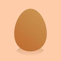 chicken egg. fresh chicken eggs in vector illustration