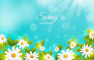 Fresh Spring Flower Background vector