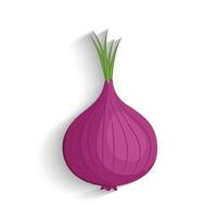 onions vector illustration