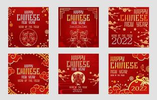 Chinese New Year of Tiger Social Media vector