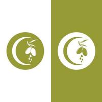 olive icon vector illustration