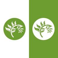 logotipos de la ecología de la hoja del árbol verde vector