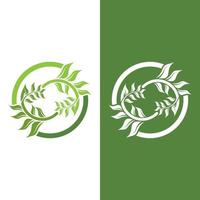 logotipos de la ecología de la hoja del árbol verde vector