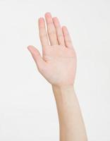 hand isolated on white.Voting hand. Mock up. Copy space. Template. Blank. photo