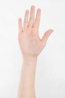 hand isolated on white.Voting hand. Mock up. Copy space. Template. Blank. photo