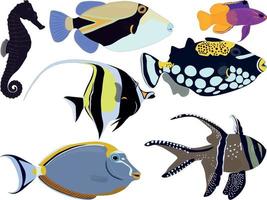Aquarium tropical fish types seahorse, moorish idol, gramma collection vector illustration