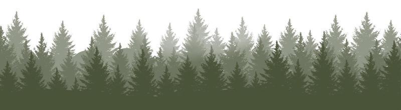 Horisontal green forest landscape panorama vector illustration. Layered trees background.