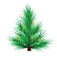 Pine with serpentine vector