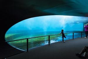 Génova, Italia, 2 de junio de 2015 - Personas no identificadas en el acuario de Génova. El acuario de Génova es el acuario más grande de Italia y uno de los más grandes de Europa. foto