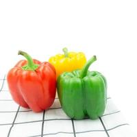 peppers isolated on white background photo