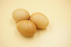 eggs isolated on white background photo