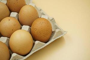 Huevos en caja aislado sobre fondo blanco. foto