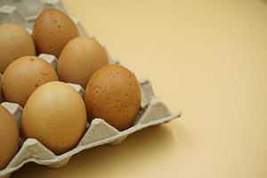 eggs in box isolated on white background photo