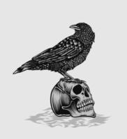 ilustración, vector, cuervo, pájaro, con, cráneo vector