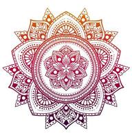 elegante patrón de mandala de círculo sobre fondo blanco vector