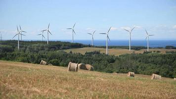 Wind Turbine and field video